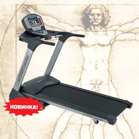 DK FITNESS 921