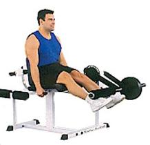 Разгибание ног Body Solid CEC-340BS